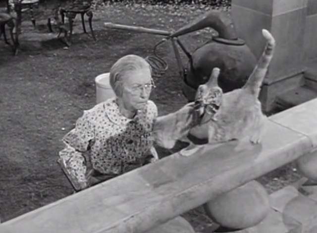 The Beverly Hillbillies - Jed Plays Solomon - Granny sees Rusty cat Orangey walking with pigeon on back