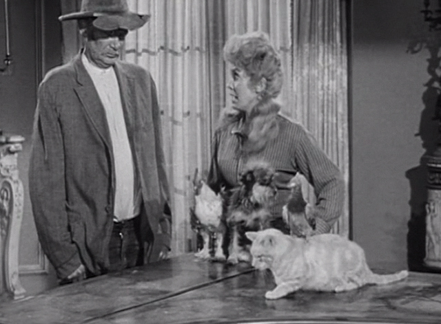 The Beverly Hillbillies - The Clampett's are Overdrawn - Elly May Donna Douglas and Jed Buddy Ebsen with critters including Rusty cat Orangey on table
