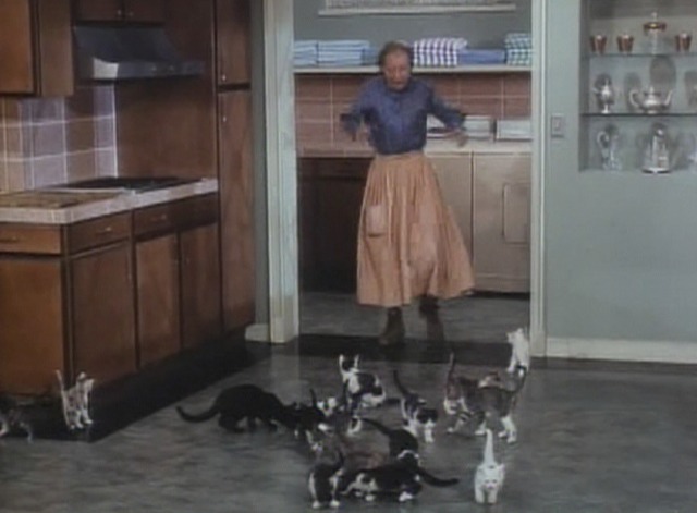 The Beverly Hillbillies - Cat Burglar cats in kitchen