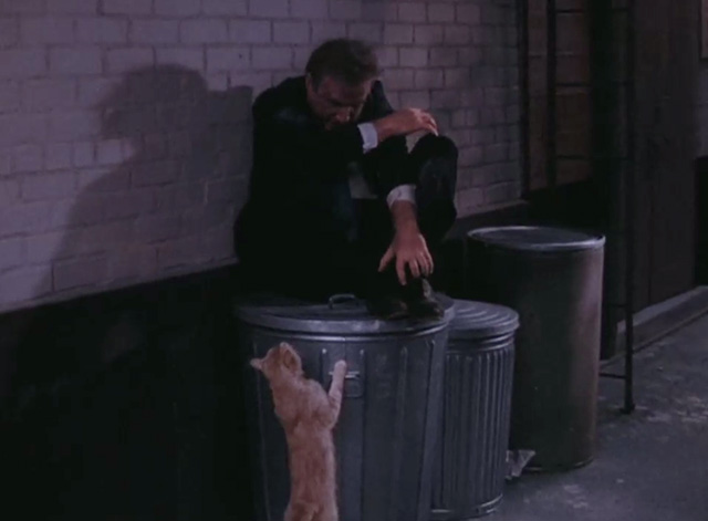Bewitched - It Shouldn't Happen to a Dog - orange tabby cat cornering Mr. Barker as man Jack Warden on trash can