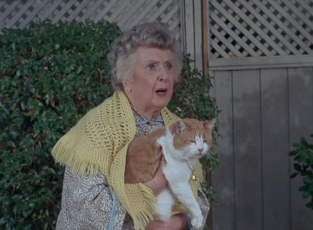 Bewitched - Mrs. Stephens Where Are You? - ginger and white tabby cat Victoria held by Miss Parsons Ruth McDevitt