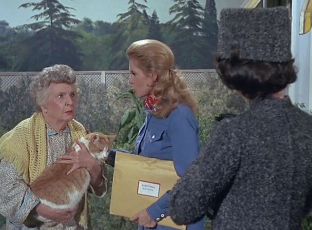 Bewitched - Mrs. Stephens Where Are You? - ginger and white tabby cat Victoria held by Miss Parsons Ruth McDevitt with Samantha Elizabeth Montgomery and Serena