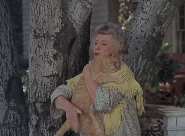 Bewitched - Mrs. Stephens Where Are You? - ginger tabby cat with black smudge on face hugged by Miss Parsons Ruth McDevitt