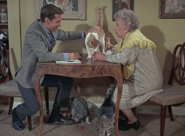 Bewitched - Mrs. Stephens Where Are You? - salesman Hal England with Miss Parsons Ruth McDevitt at table with numerous cats