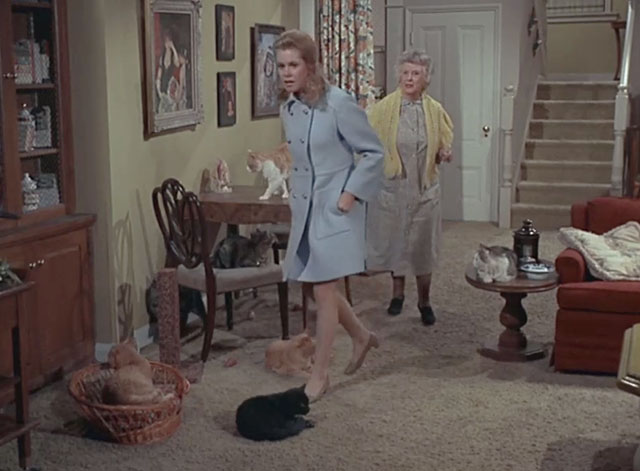 Bewitched - Mrs. Stephens Where Are You? - Miss Parsons Ruth McDevitt with Samantha Elizabeth Montgomery in room full of cats