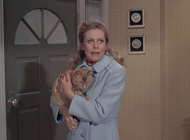 Bewitched - Mrs. Stephens Where Are You? - ginger tabby cat with black smudge on face held by Samantha Elizabeth Montgomery with Miss Parsons Ruth McDevitt