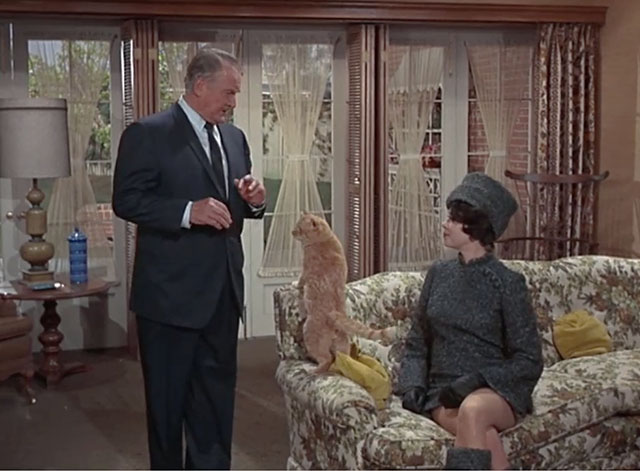 Bewitched - Mrs. Stephens Where Are You? - ginger tabby cat with black smudge on face on couch with Serena Elizabeth Montgomery and Mr. Stephens Roy Roberts
