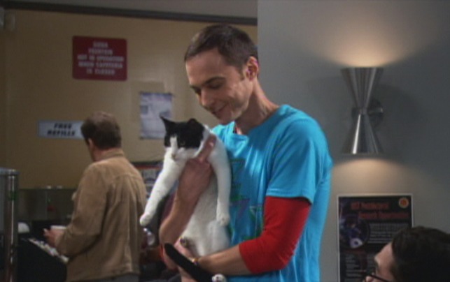 The Big Bang Theory - The Zazzles Substitution cat