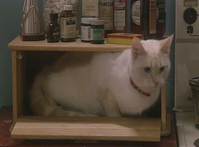 Black Books - Travel Writer cat Mr. Benson in breadbox