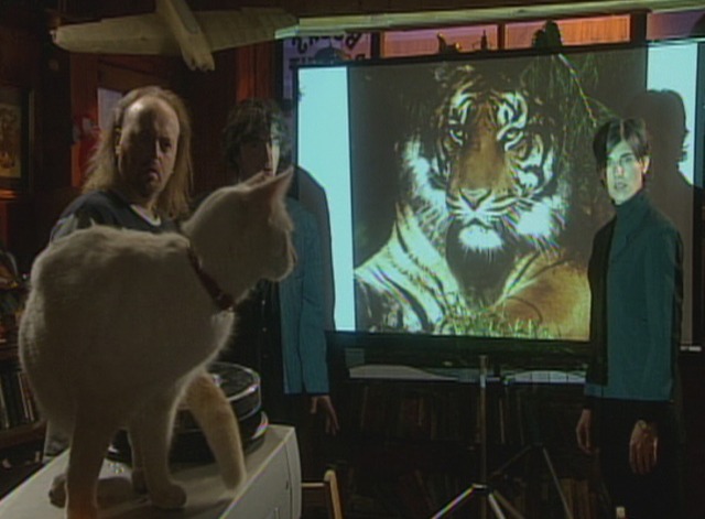 Black Books - Travel Writer cat Mr. Benson brings up slide of tiger