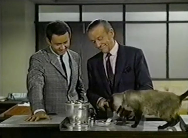 Bob Hope - Think Pretty - Siamese cat George on table with Addams Fred Astaire and Don Roger Perry