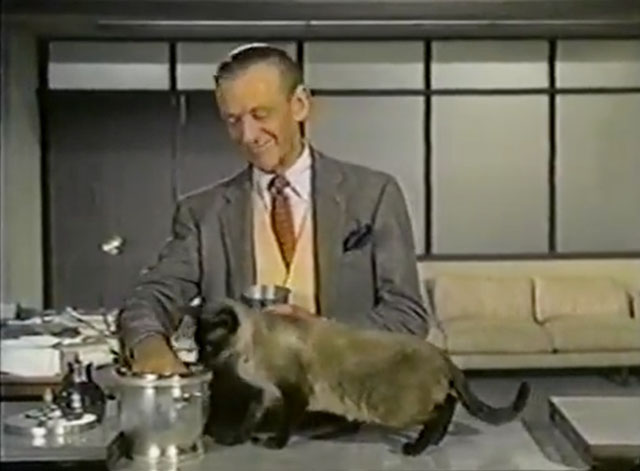 Bob Hope - Think Pretty - Siamese cat George on table with Addams Fred Astaire