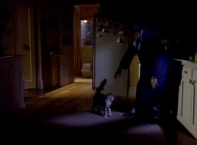 Bob - A Streetcar Named Congress-Douglas - cat Otto pausing to be petted by Bob Newhart