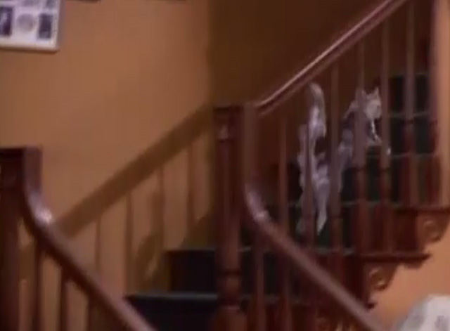 Bob - Unforgiven - cat Otto running up stairs