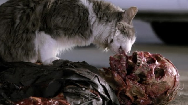 Bones - A Bond in the Boot - cat eating dead man's face