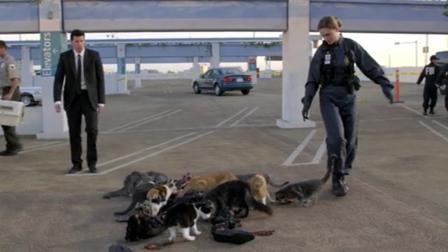 Bones - A Bond in the Boot - cats eating dead man as agents approach