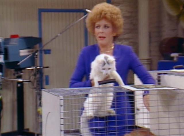 Bosom Buddies - On the Road to Monte Carlo - Ruth Holland Taylor taking white cat with black markings Pansy from cage
