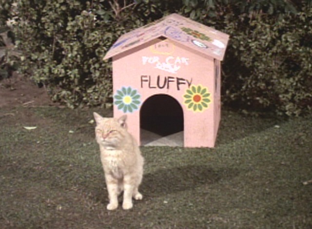 The Brady Bunch - The Honeymoon cat Fluffy house