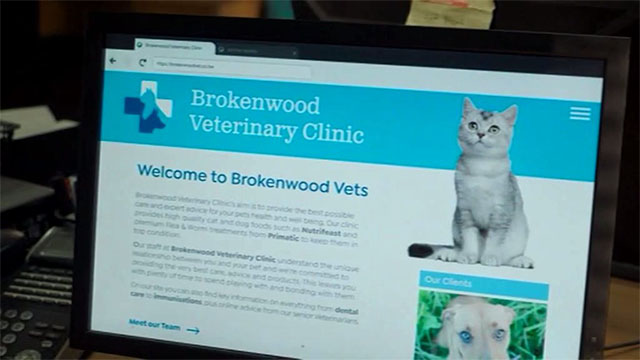 The Brokenwood Mysteries - Going to the Dogs - tabby cat on veterinarian's website page