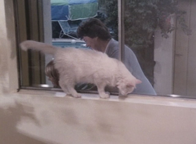 Bronk - Pilot telefilm - white longhair cat Yankee standing on windowsill