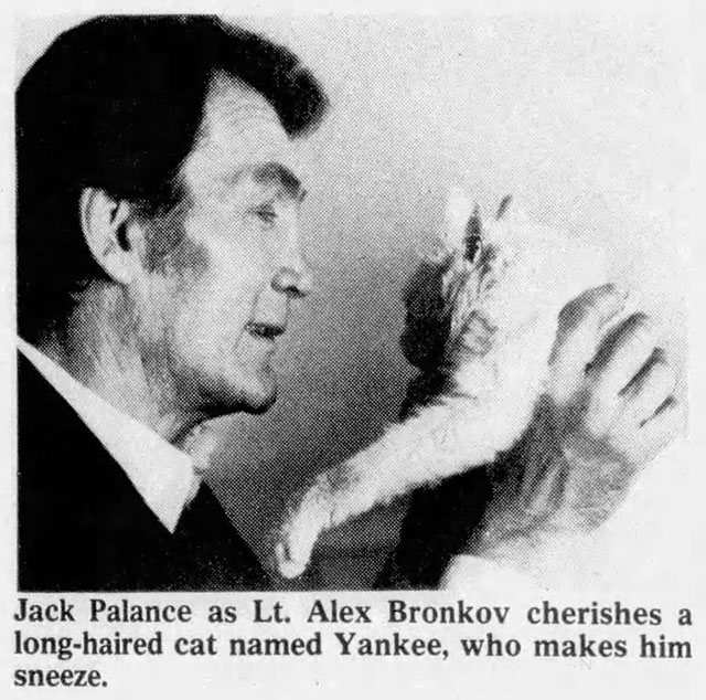 Bronk - newspaper clipping of Alex Bronkov Jack Palance holding white longhair cat Yankee