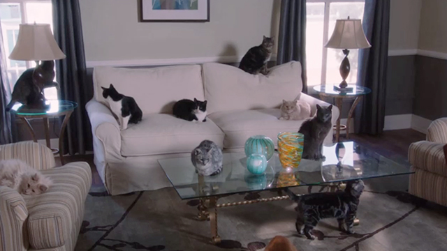 Brooklyn Nine-Nine - Apartment - numerous cats sitting in apartment