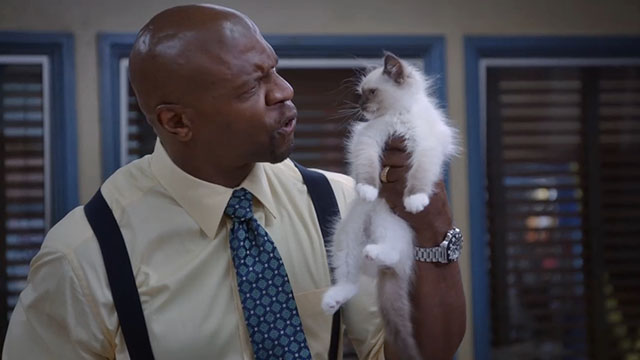 Brooklyn Nine-Nine - Terry Kitties - Terry Crews holding up Snowshoe Himalayan kitten