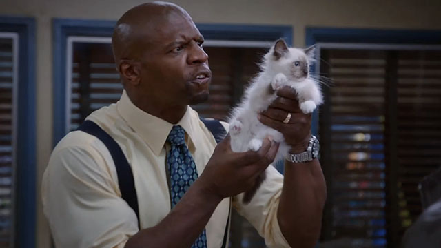 Brooklyn Nine-Nine - Terry Kitties - Terry Crews holding up Snowshoe Himalayan kitten