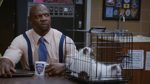 Brooklyn Nine-Nine - Terry Kitties - Terry Crews with Himalayan kittens in cage on desk