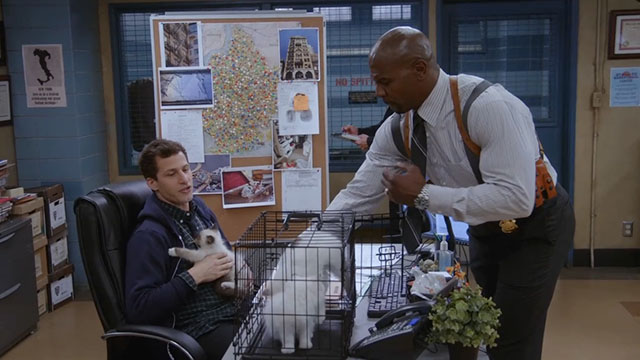 Brooklyn Nine-Nine - Terry Kitties - Peralta Andy Samberg with three Himalayan kittens in cage on desk and Terry Crews