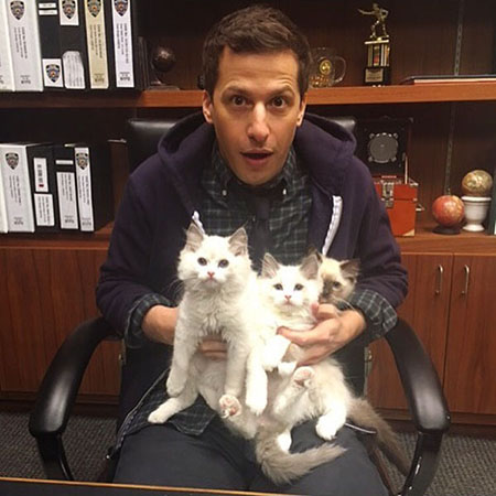Brooklyn Nine-Nine - Terry Kitties - Andy Samberg on set with three Himalayan kittens