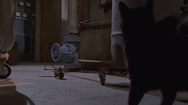 Buffy the Vampire Slayer - Bewitched, Bothered and Bewildered - black cat facing Buffy as rat