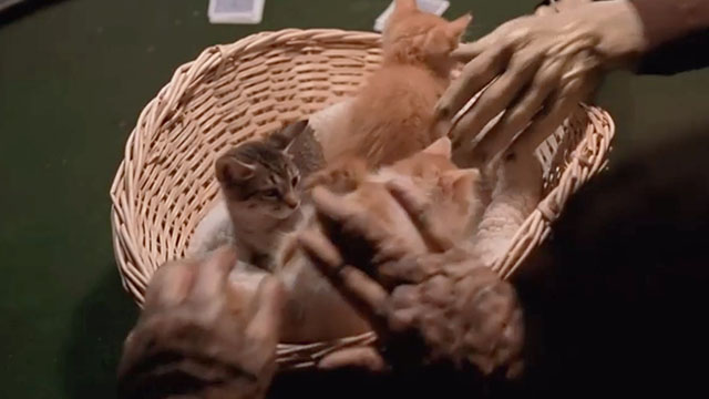Buffy the Vampire Slayer - Life Serial - tabby kittens being placed in basket as poker ante