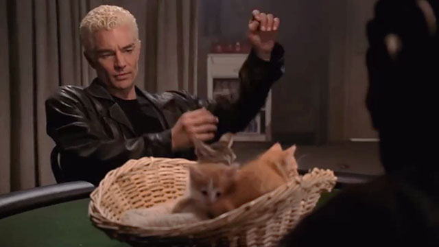 Buffy the Vampire Slayer - Life Serial - Spike James Marsters at poker table with tabby kitten ante