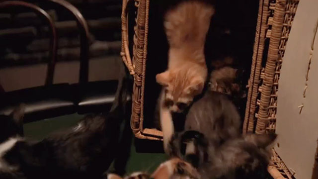 Buffy the Vampire Slayer - Life Serial - tabby kittens being dumped out of basket