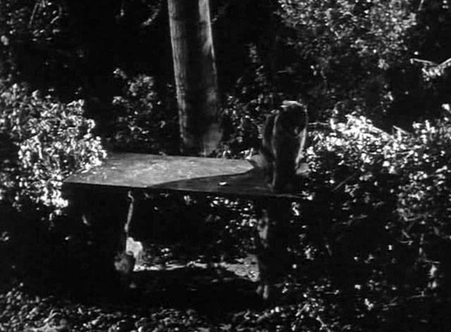 Burke's Law - Who Killed My Girl? - black cat on bench