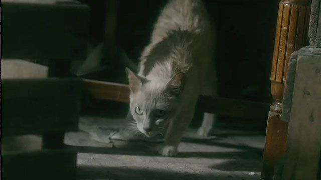 Call the Midwife - Christmas Special 2012 - sandy colored cat in filthy room close