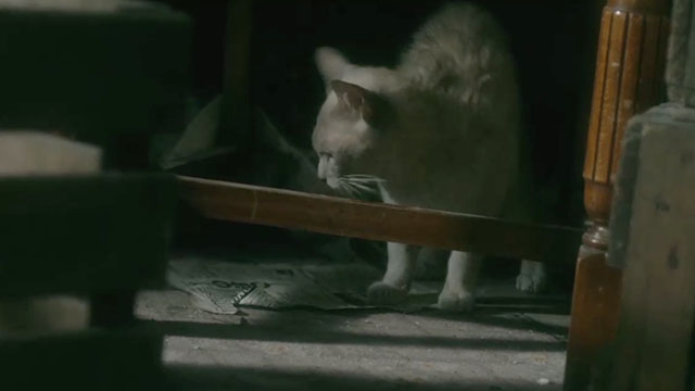 Call the Midwife - Christmas Special 2012 - sandy colored cat in filthy room close