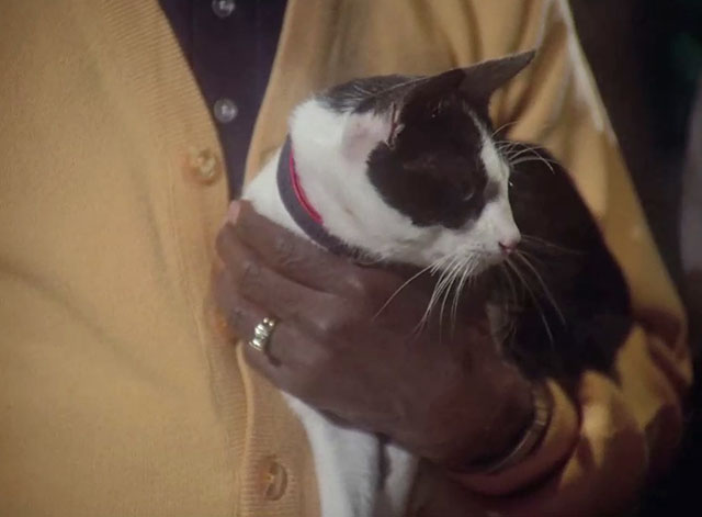 Charlie's Angels - Angels in Vegas - tuxedo cat