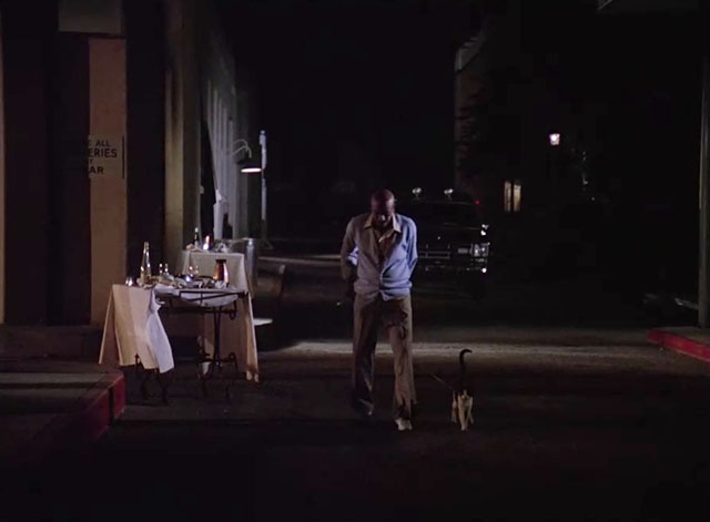 Charlie's Angels - Angels in Vegas - Jip Scatman Crothers walking in dark alley behind casino with tuxedo cat on lead
