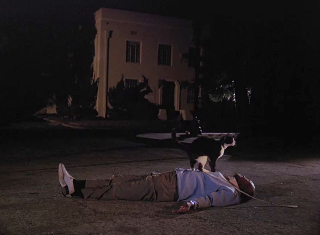 Charlie's Angels - Angels in Vegas - Jip Scatman Crothers lying on ground with tuxedo cat on his chest