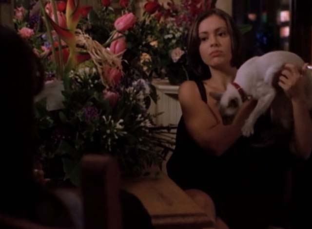 Charmed - Dream Sorcerer - Phoebe Alyssa Milano holding up Siamese cat Kit