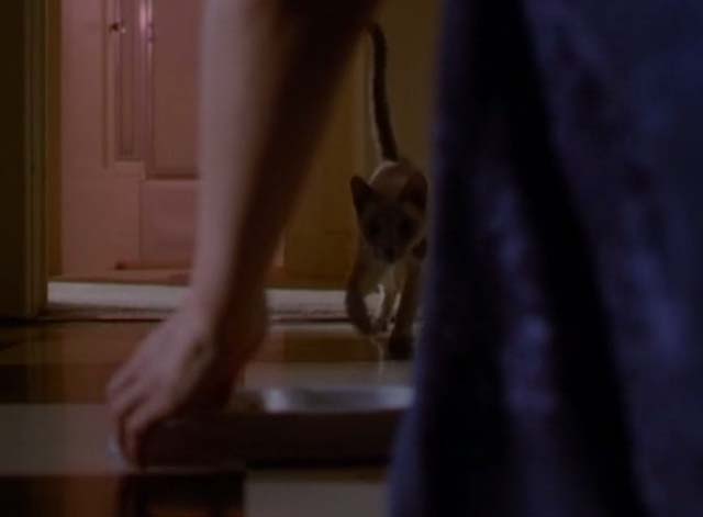Charmed - Something Wicca This Way Comes - Siamese cat Kit coming for food