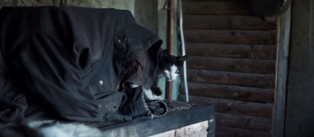 Chernobyl - black and white cat behind old shirt