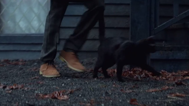 The Chilling Adventures of Sabrina - October Country - black cat Salem leaving house with Sabrina