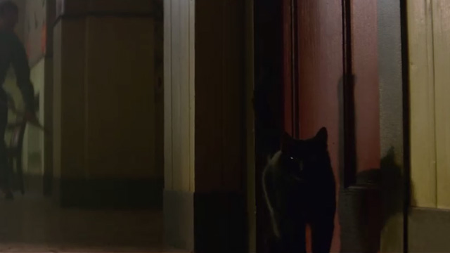 The Chilling Adventures of Sabrina - October Country - black cat Salem outside office door