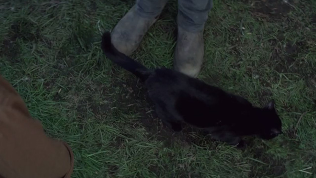 The Chilling Adventures of Sabrina - October Country - black cat Salem at feet of Harvey