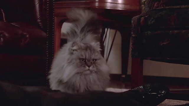 Columbo - A Trace of Murder - silver Persian tabby cat near dead body