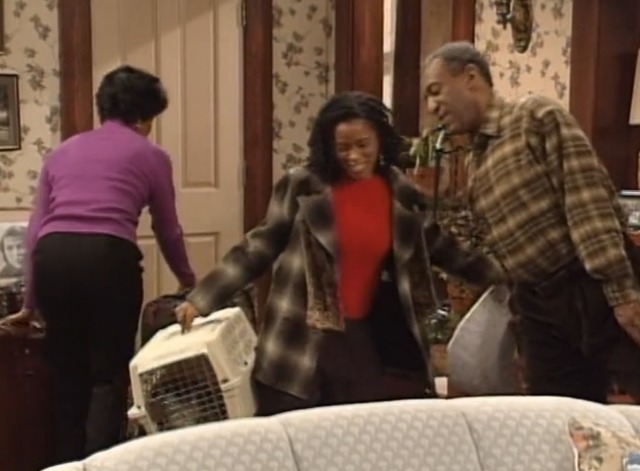 Cosby - That Darn Cat Sherman tabby in carrier