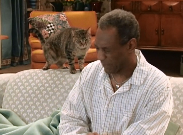 Cosby - That Darn Cat Sherman tabby on back of couch closer to Hilton Bill Cosby